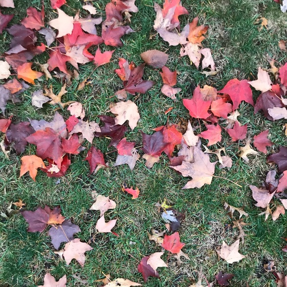 Meet your Posher, Rebecca - Picture 2 of 3